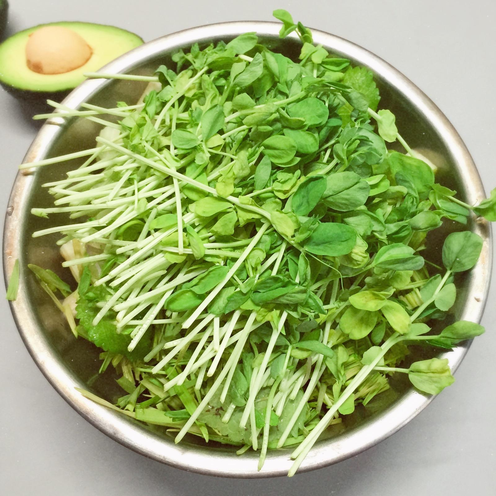 【健康瘦身】綠色蔬果昔的做法 步骤5