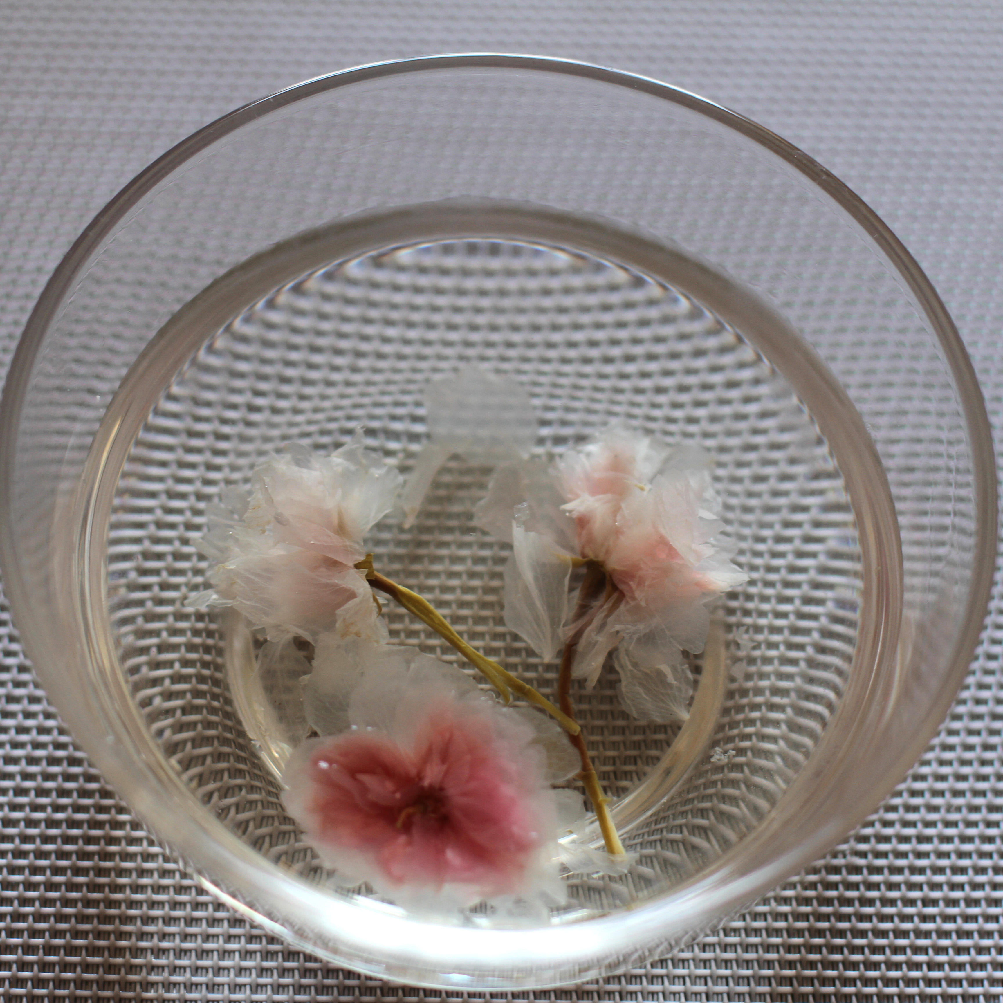 櫻花凍酸奶芝士蛋糕的做法 步骤13