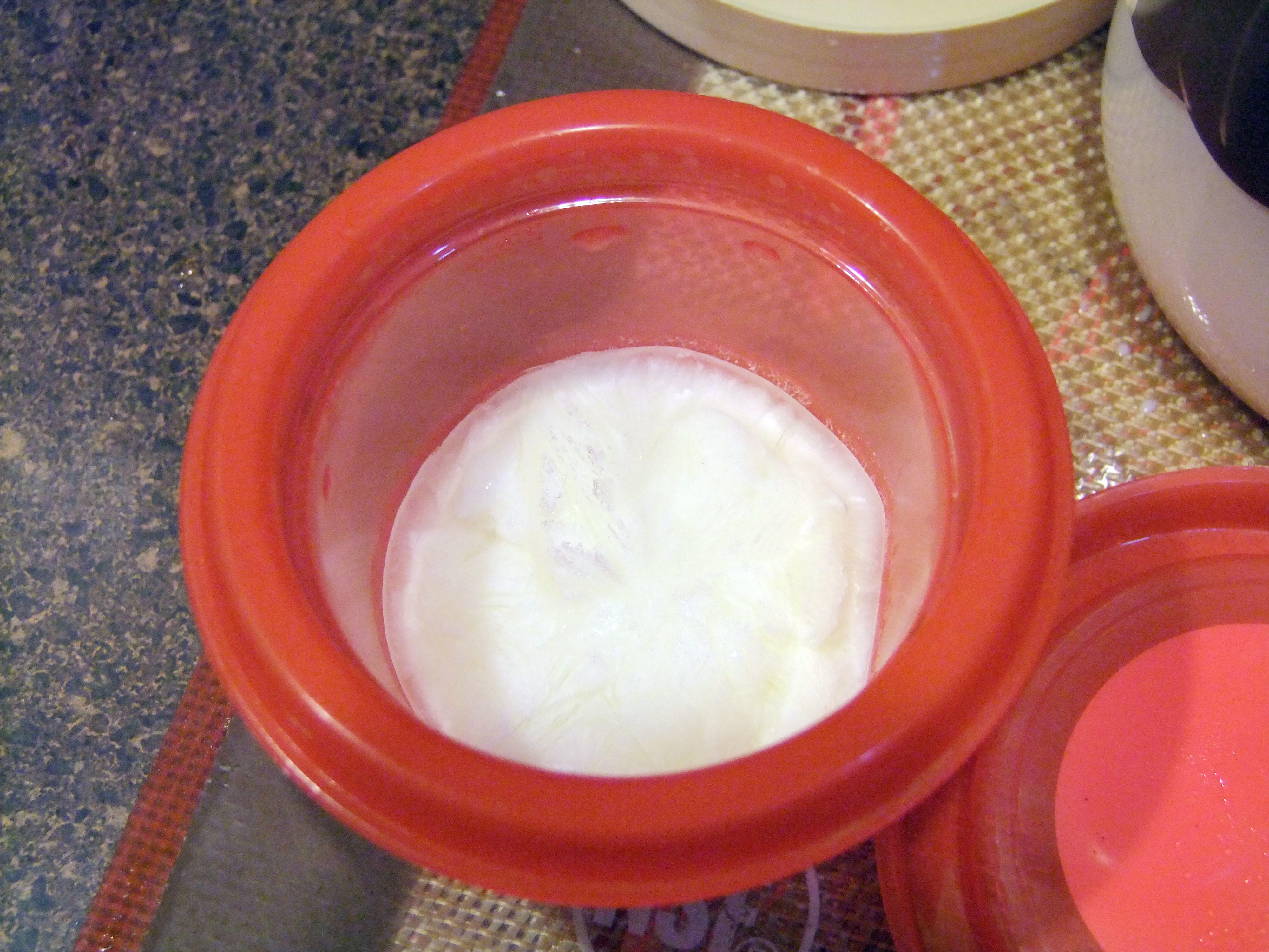 自制優格/酸奶 Homemade Yogurt的做法 步骤4