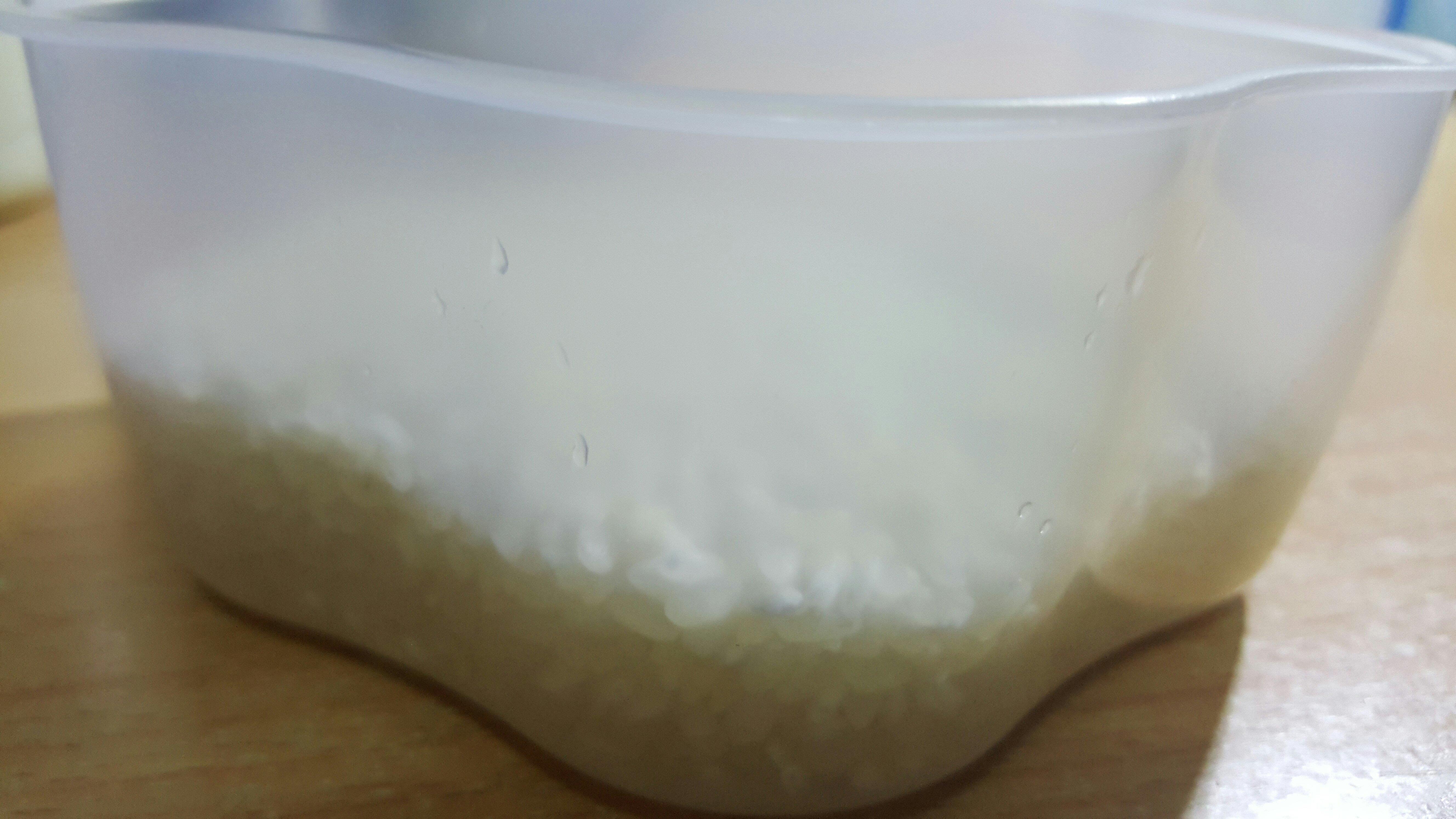 蒸米飯（電煮鍋版）的做法 步骤1