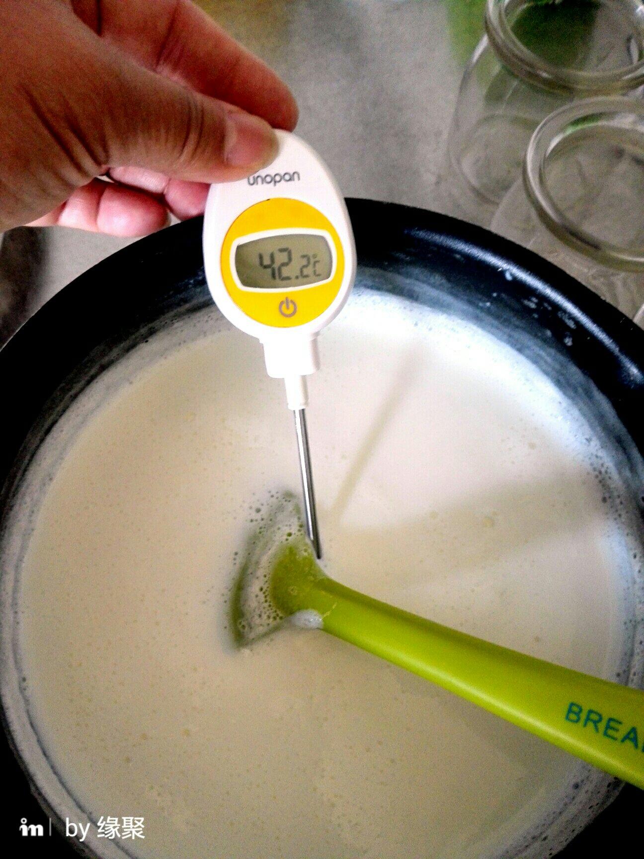 烤箱版自制老酸奶的做法 步骤4