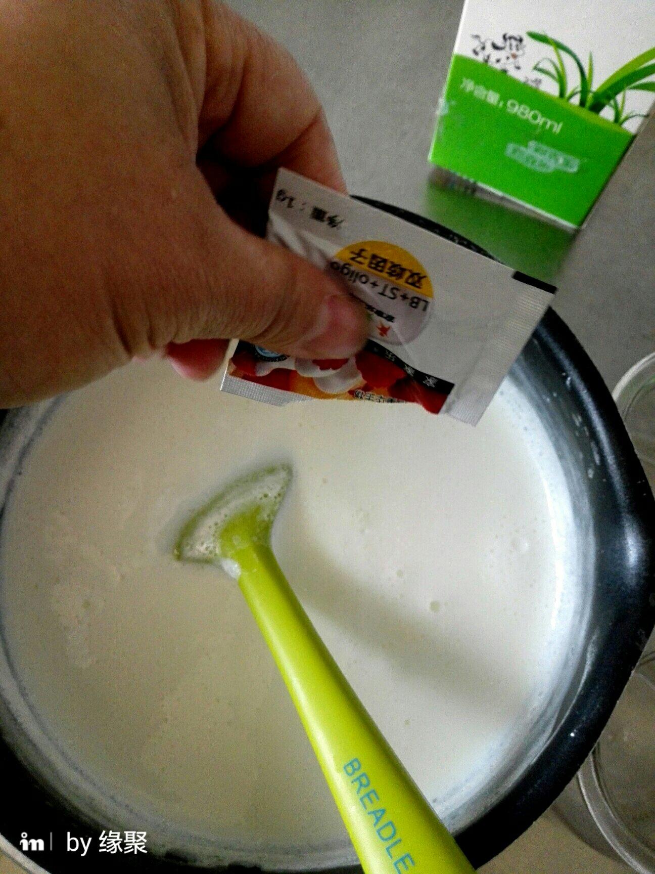 烤箱版自制老酸奶的做法 步骤5