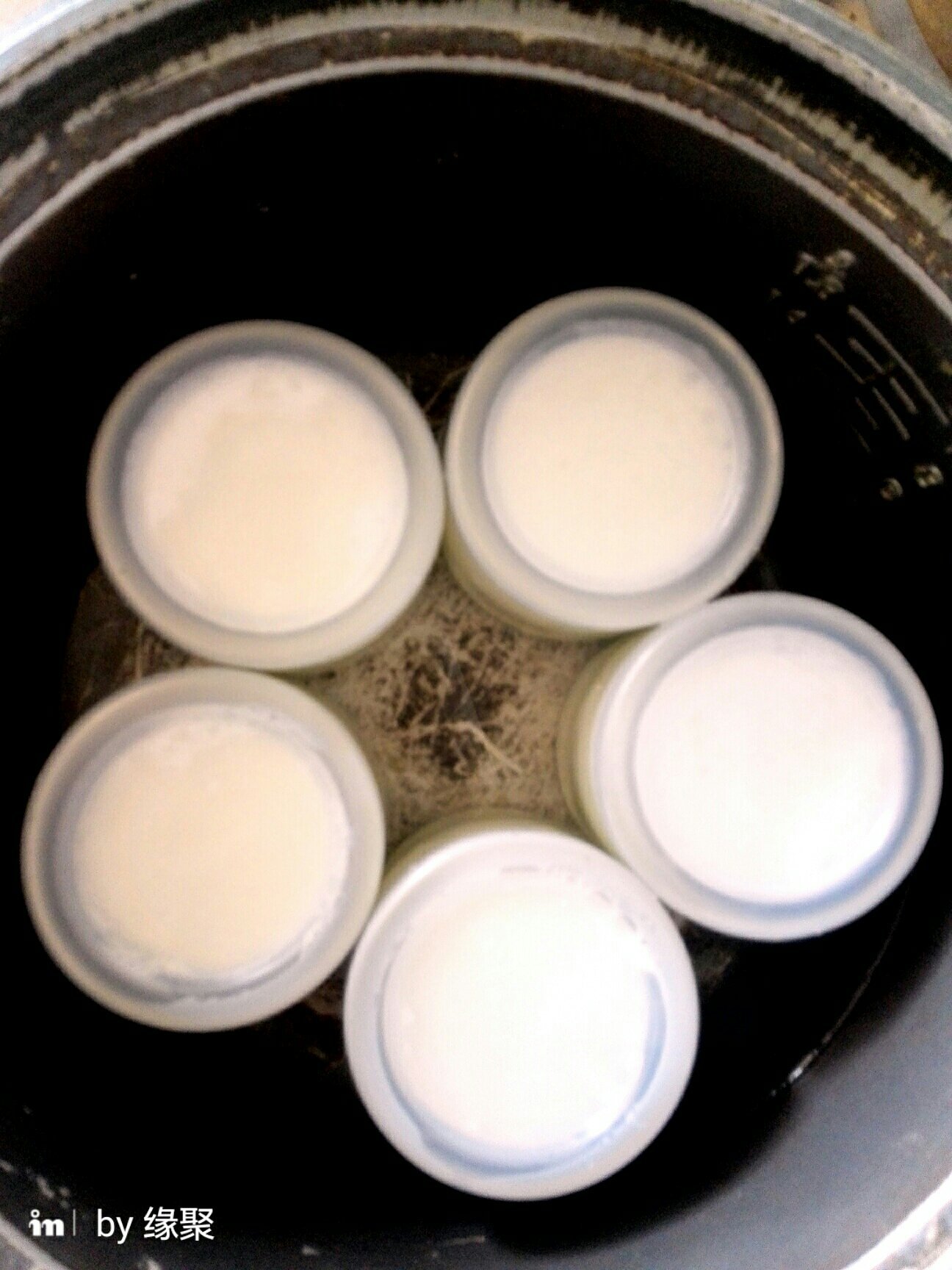 烤箱版自制老酸奶的做法 步骤7