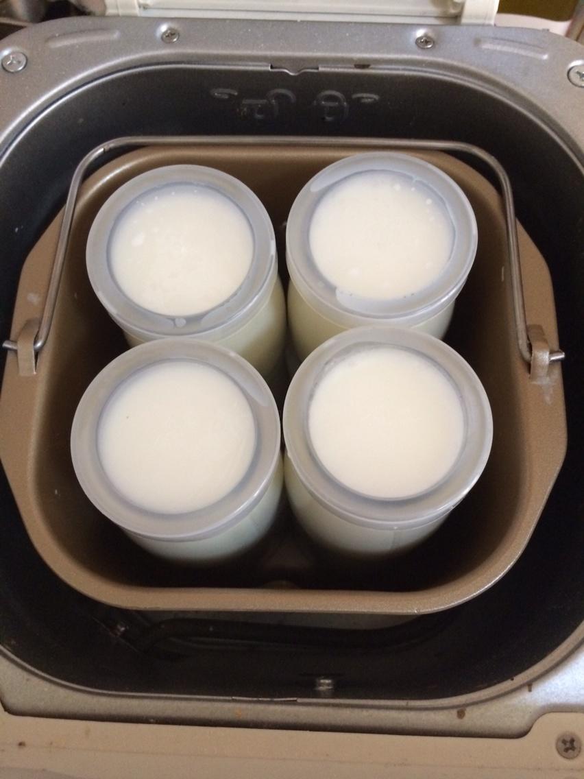 酸奶（麪包機版）的做法 步骤4
