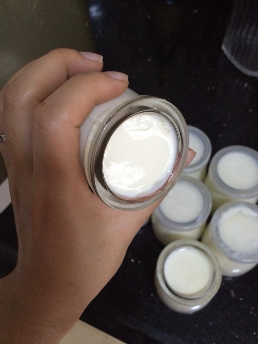 酸奶（麪包機版）的做法 步骤6