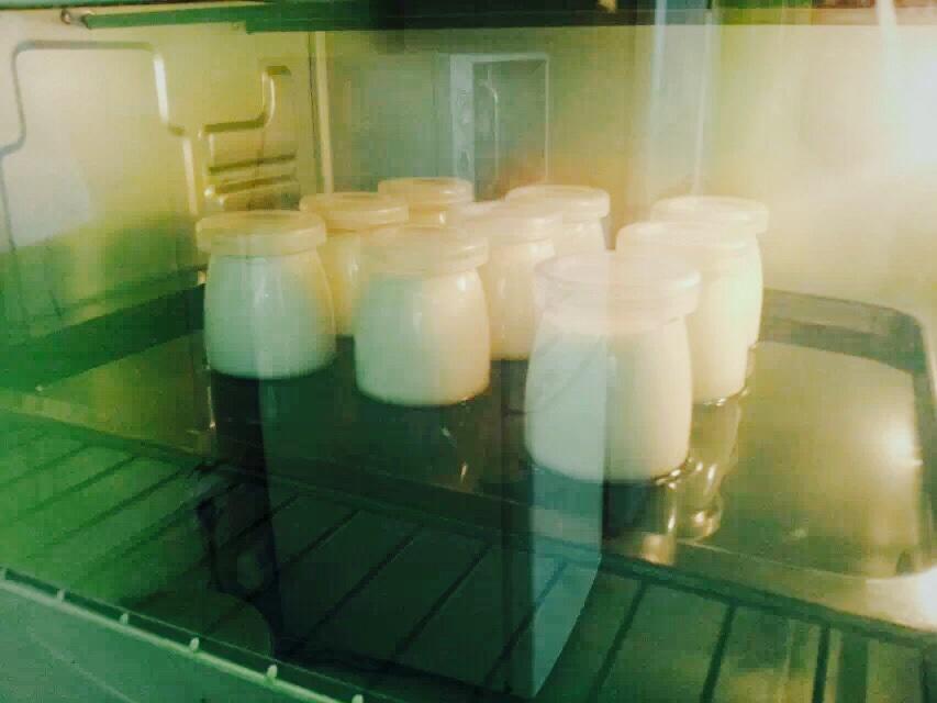 自制酸奶（泡沫箱/電飯鍋/烤箱/麪包機版）的做法 步骤10