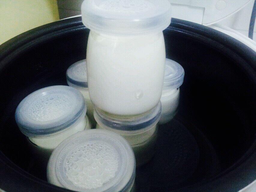 自制酸奶（泡沫箱/電飯鍋/烤箱/麪包機版）的做法 步骤11