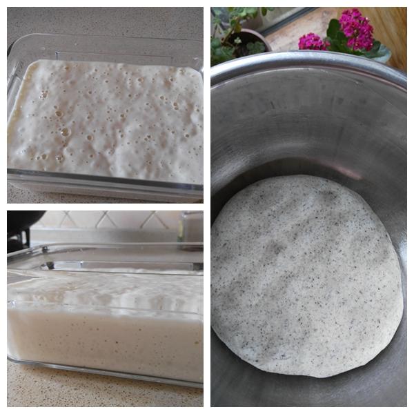 天然酵種黑芝麻全麥戧面饅頭的做法 步骤1