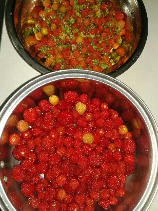 自制樹莓醬的做法 步骤2