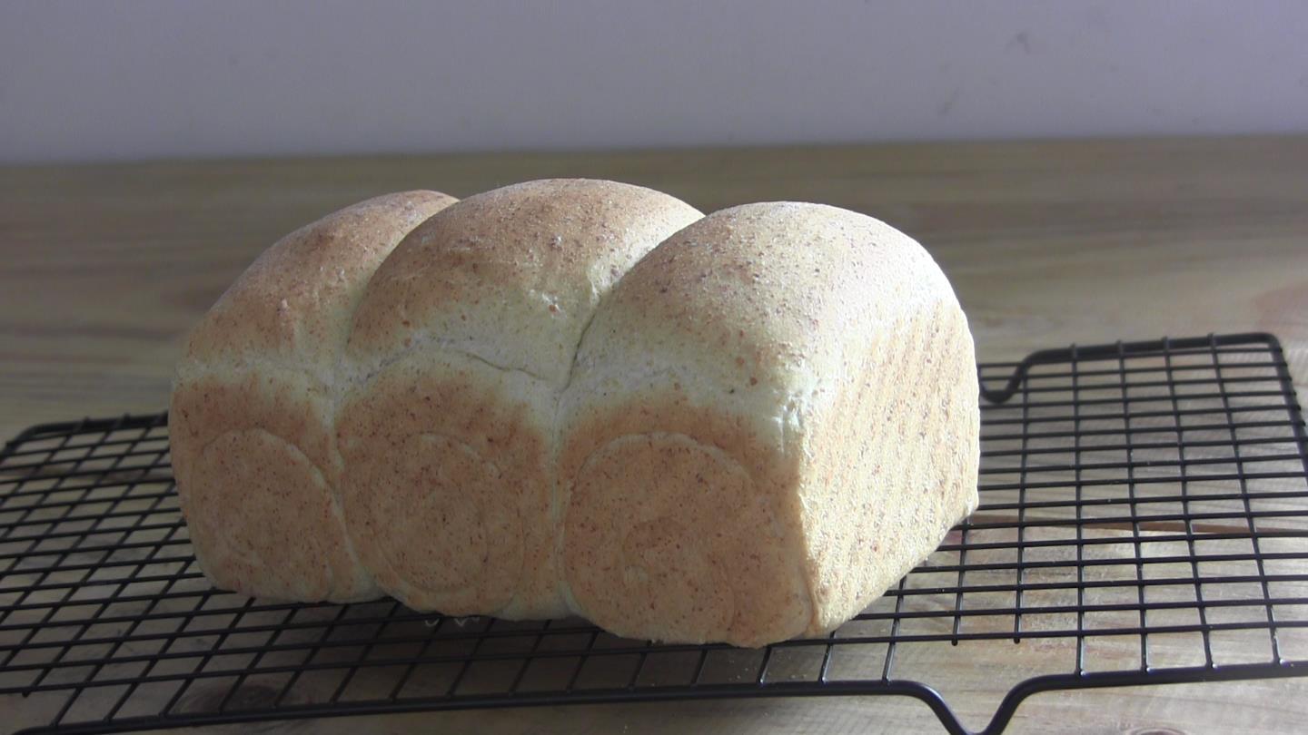 【麪包食驗】天然酵母小麥胚芽土司-附揉麪技巧 Sourdough Wheat Germ Sandwich bread的做法 步骤10