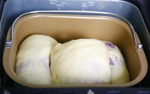 紫薯蜂蜜麪包的做法的做法 步骤9