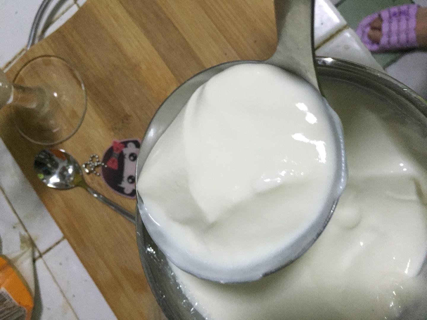 桑葚果醬酸奶的做法 步骤5