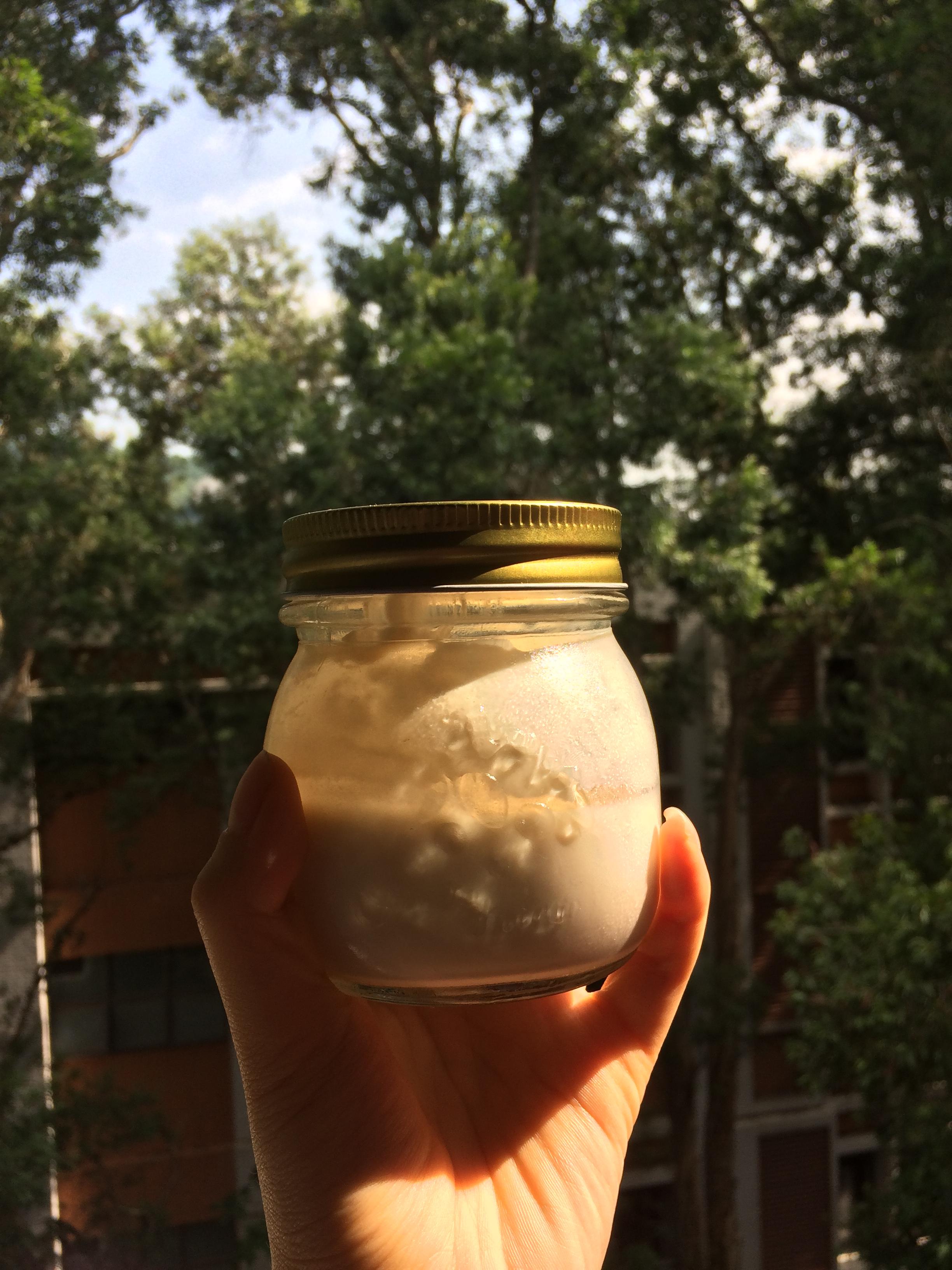 奶油替代品——豆腐酸奶醬（低碳水）的做法 步骤3