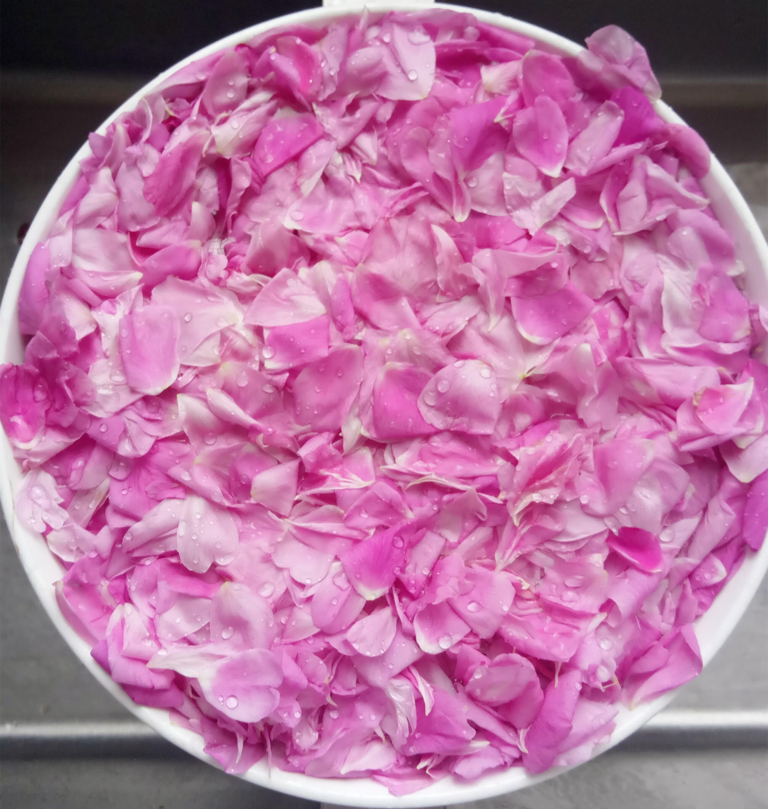 自制美容養顏的平陰玫瑰花醬的做法 步骤4