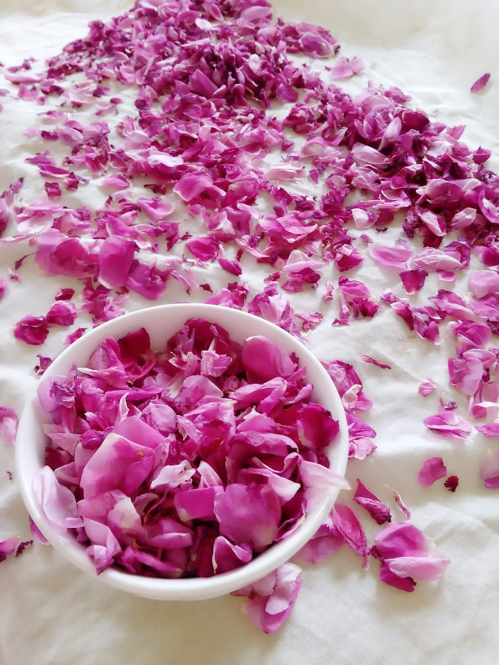 自制美容養顏的平陰玫瑰花醬的做法 步骤5