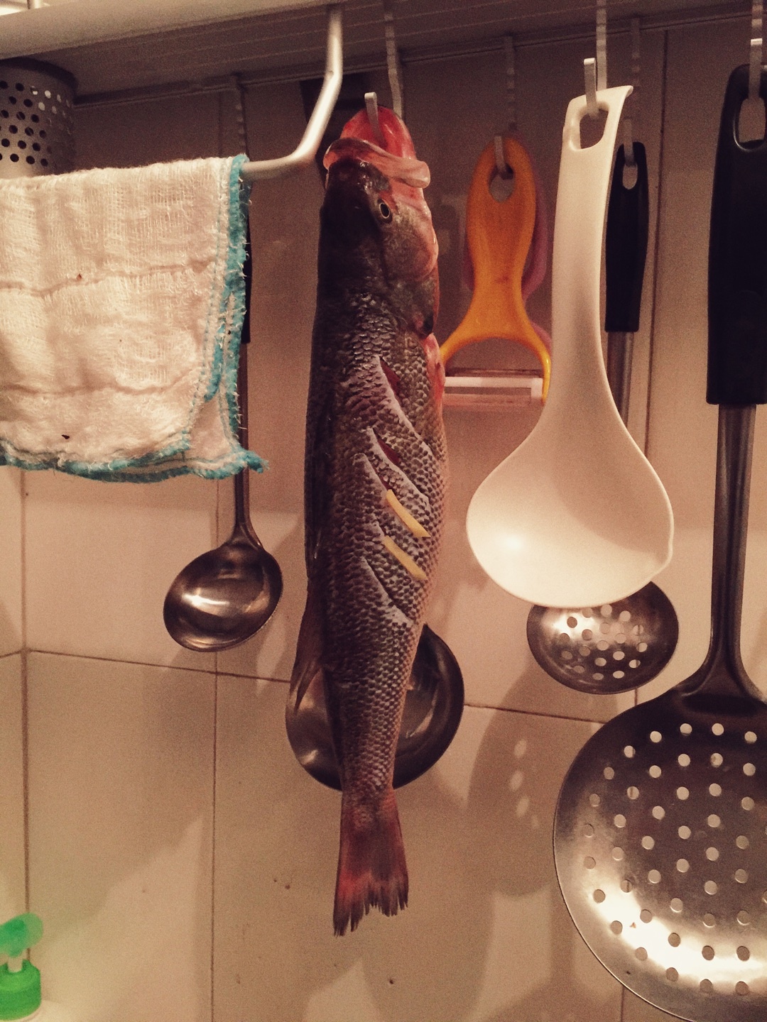紅燒鱸魚—香辣味的做法 步骤4