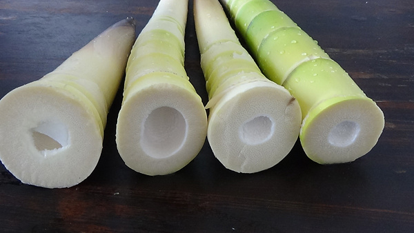 【43期】南川方竹筍 白油筍片 泡椒筍條的做法的做法 步骤1