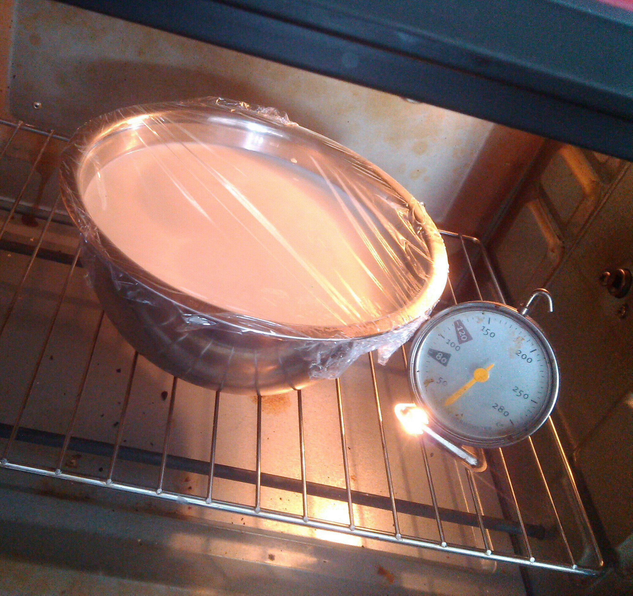 自制酸奶（烤箱版）的做法 步骤9