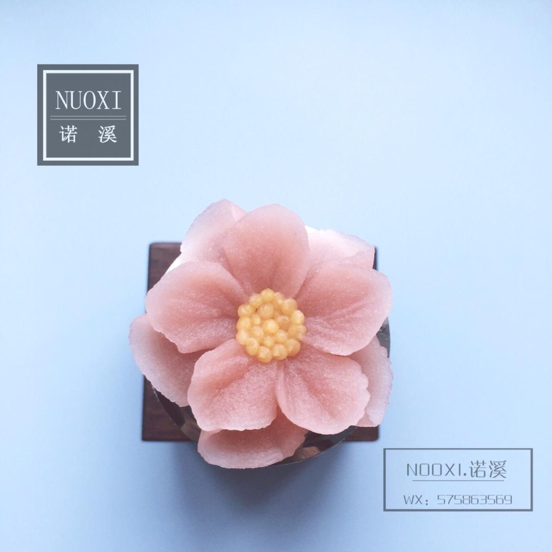NUOXI.諾溪韓式裱花花譜的做法 步骤7