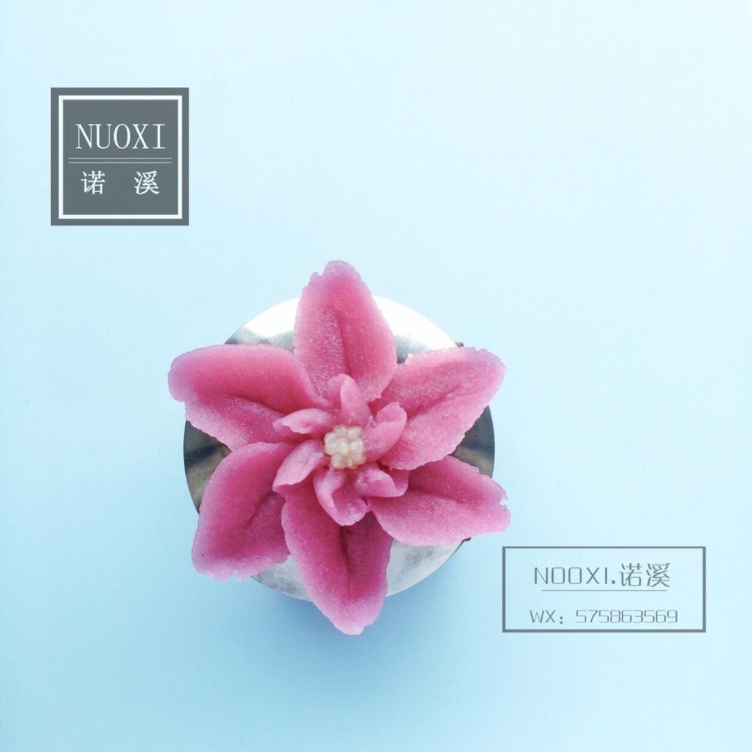 NUOXI.諾溪韓式裱花花譜的做法 步骤13