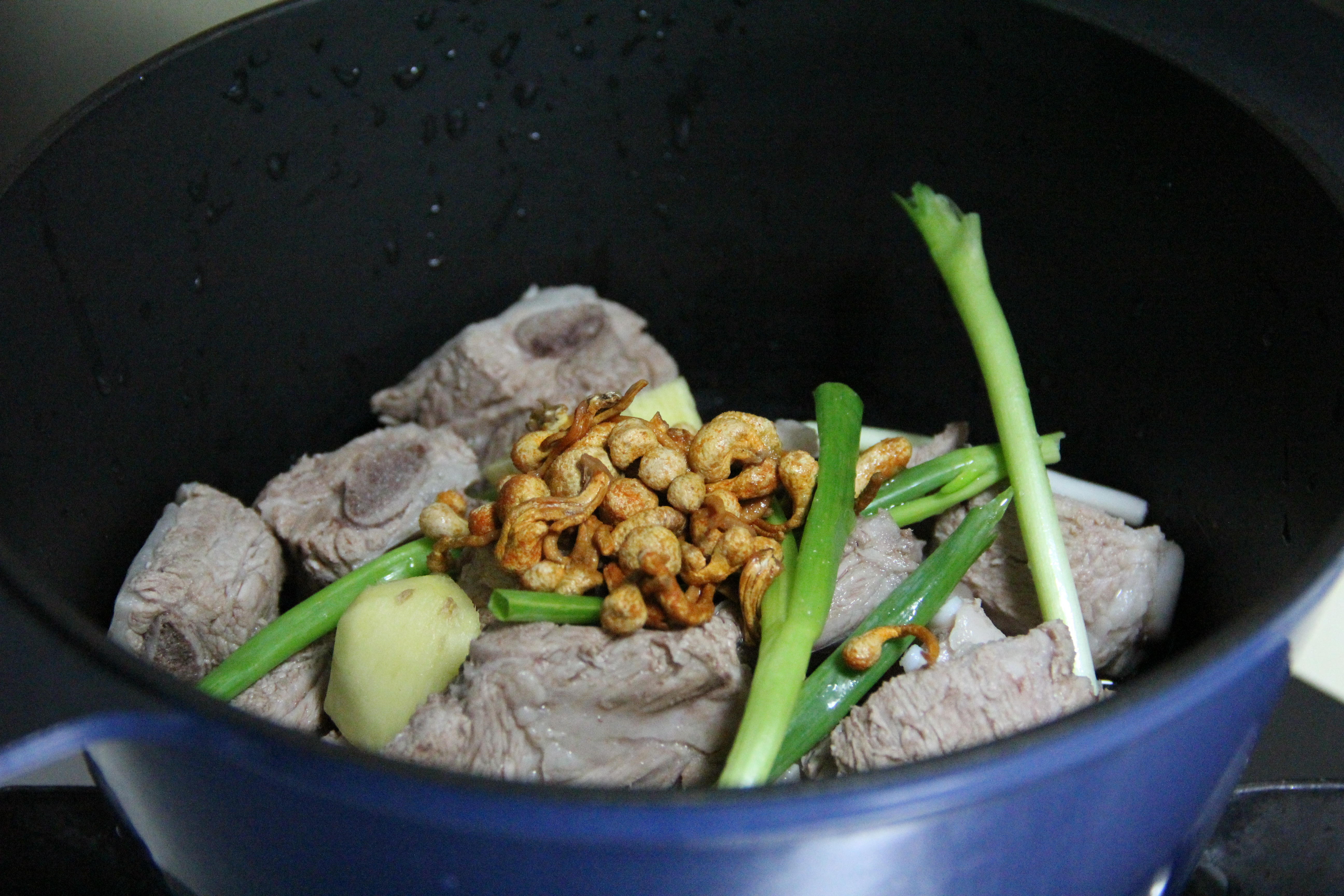 【九陽破壁豆漿機Q3】+豆漿蟲草菌茹排骨湯的做法 步骤6
