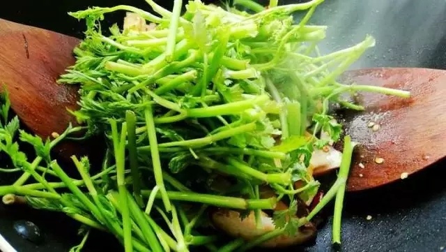 一粥一菜，營養豐富丨水芹菜炒香菇豆腐&椰蓉小米野菜粥 · 圓滿素食的做法 步骤4