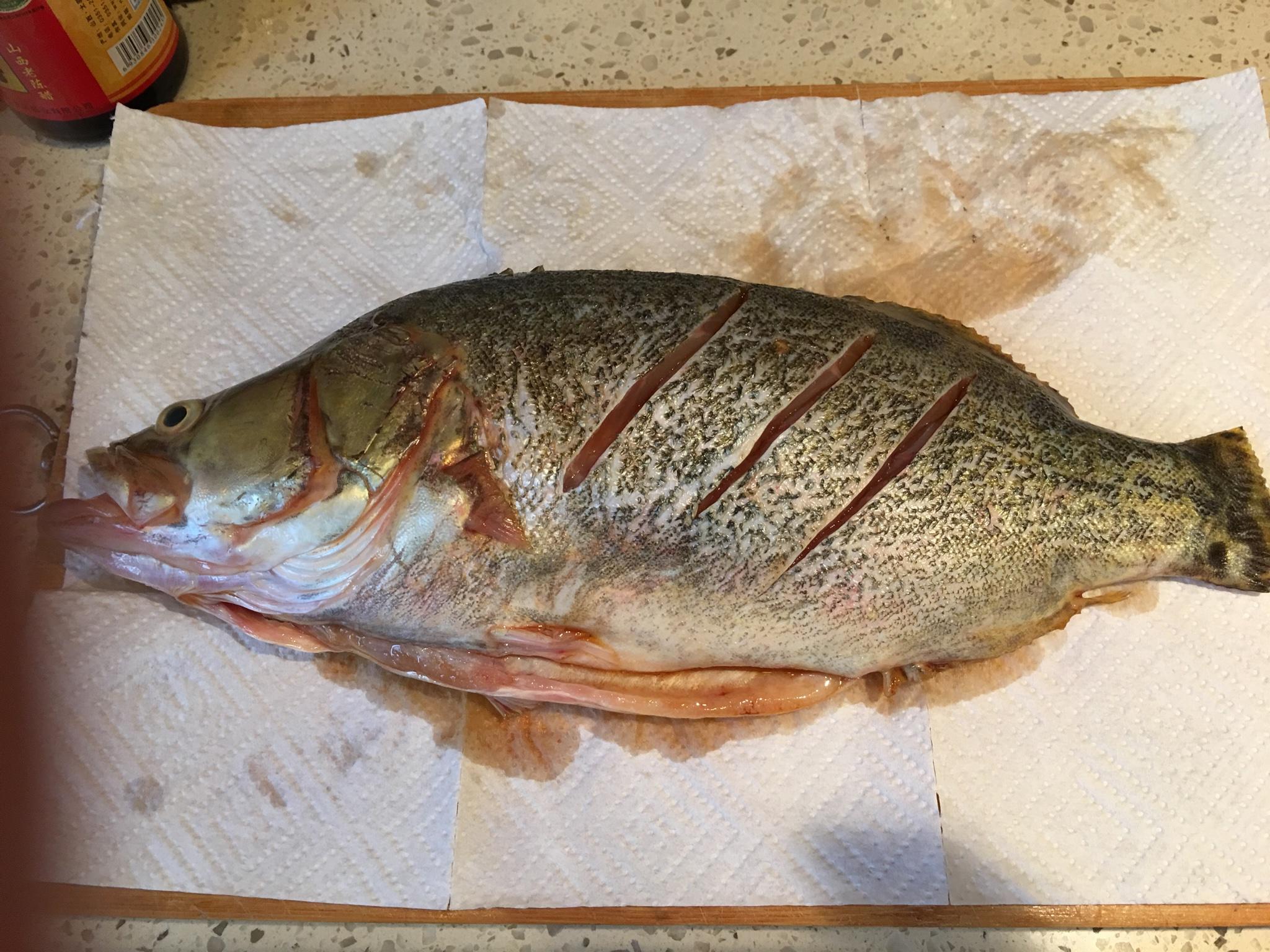 紅燒鱖魚的做法 步骤3