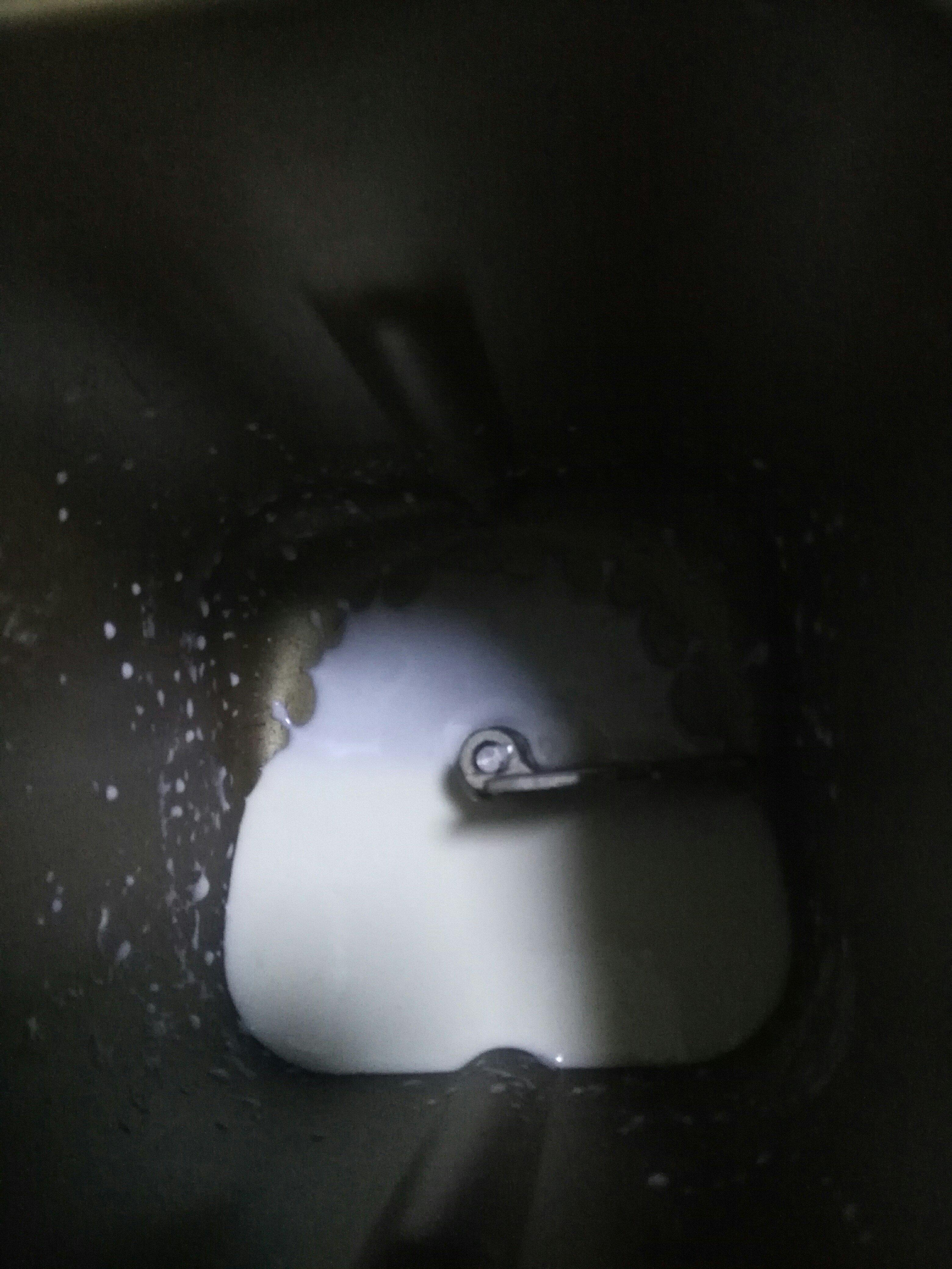 牛奶土司（450g）的做法 步骤1