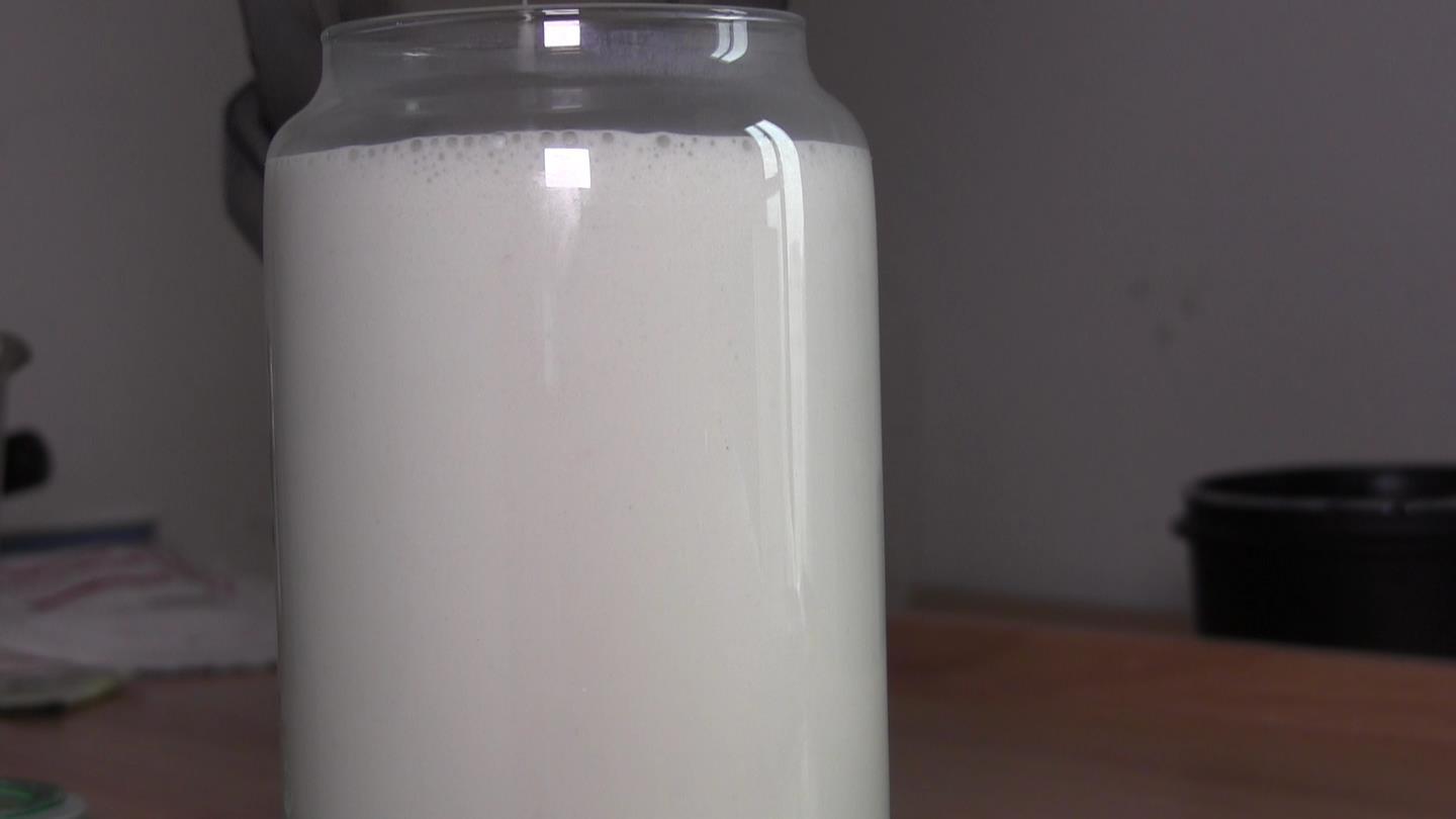【奶類食驗】希臘酸奶 Vegan Greek Yogurt 大地賜予的美味的做法 步骤2