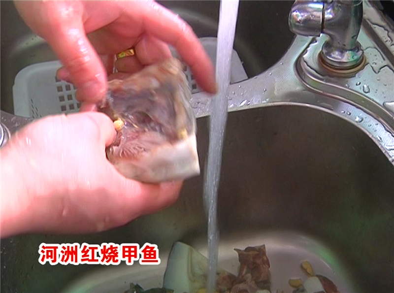 河洲紅燒甲魚的做法 步骤1