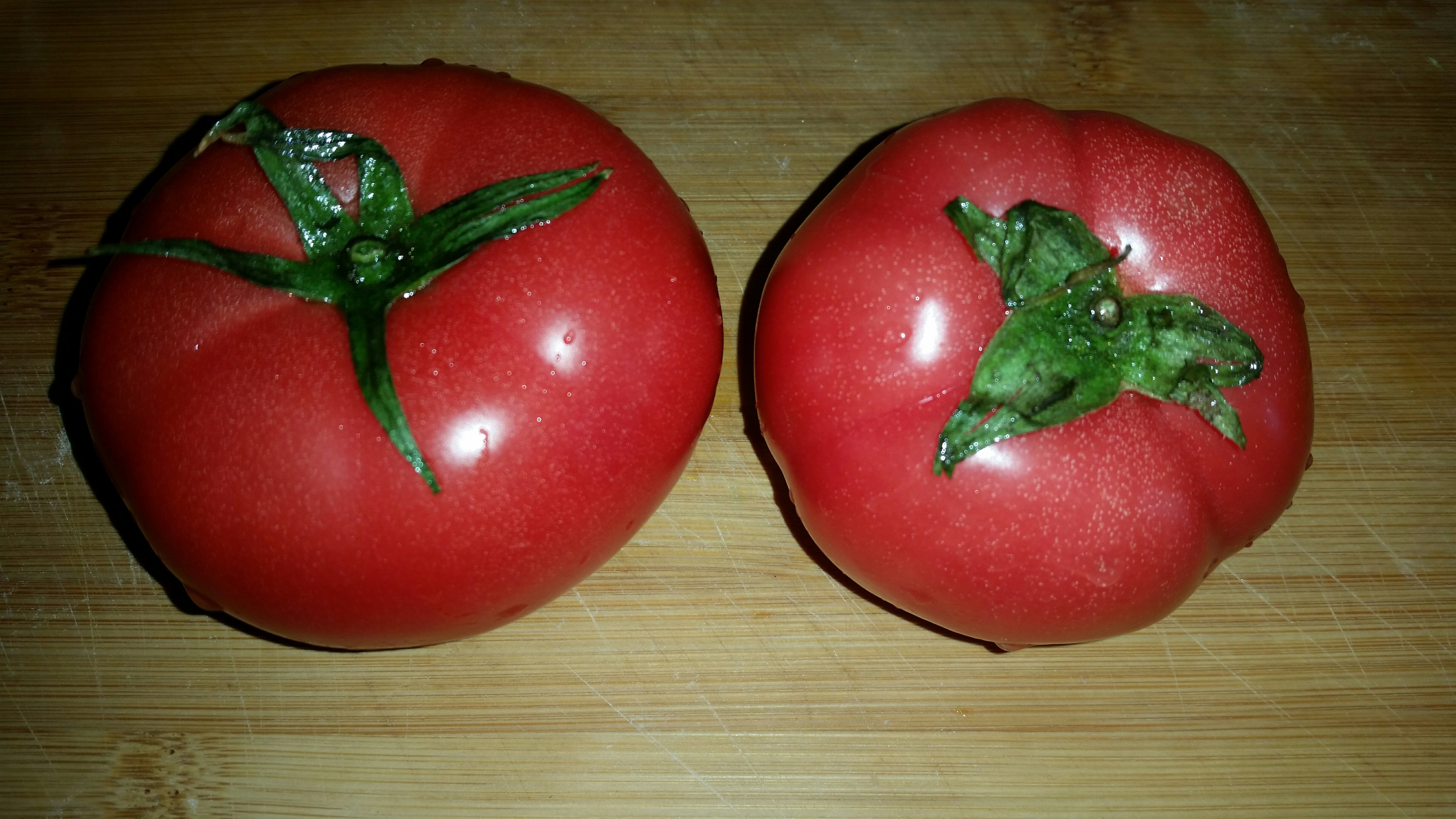 西紅柿大雜燴蓋飯的做法 步骤11