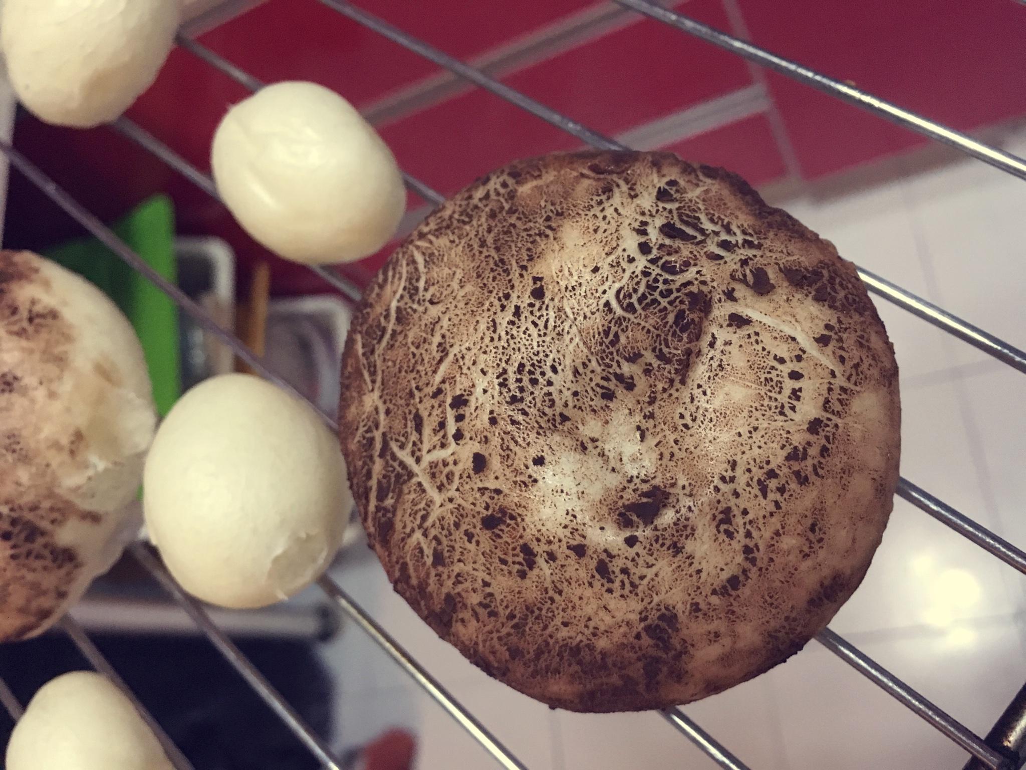 蘑菇包、貝殼夾餅、花捲和饅頭的做法 步骤10