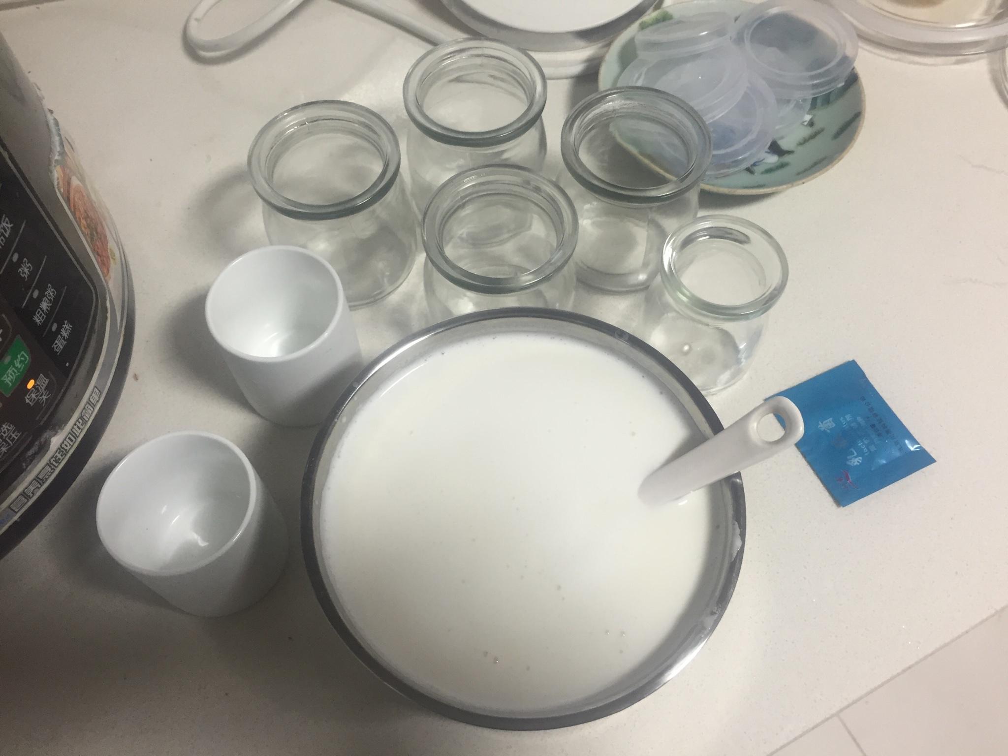 電飯煲版自制川秀菌酸奶的做法 步骤3