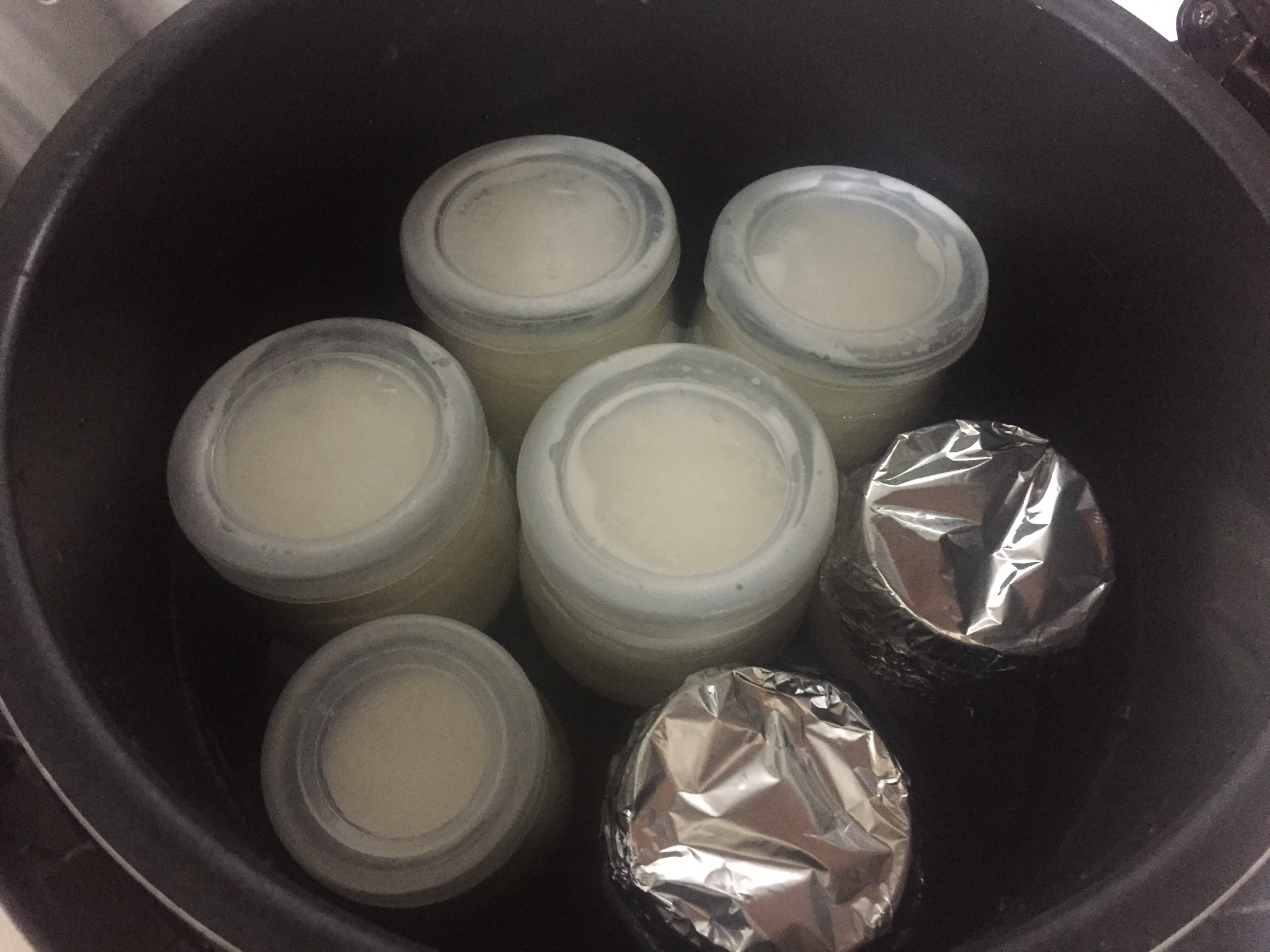 電飯煲版自制川秀菌酸奶的做法 步骤5