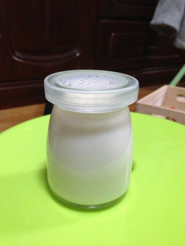 電飯煲版自制川秀菌酸奶的做法 步骤7