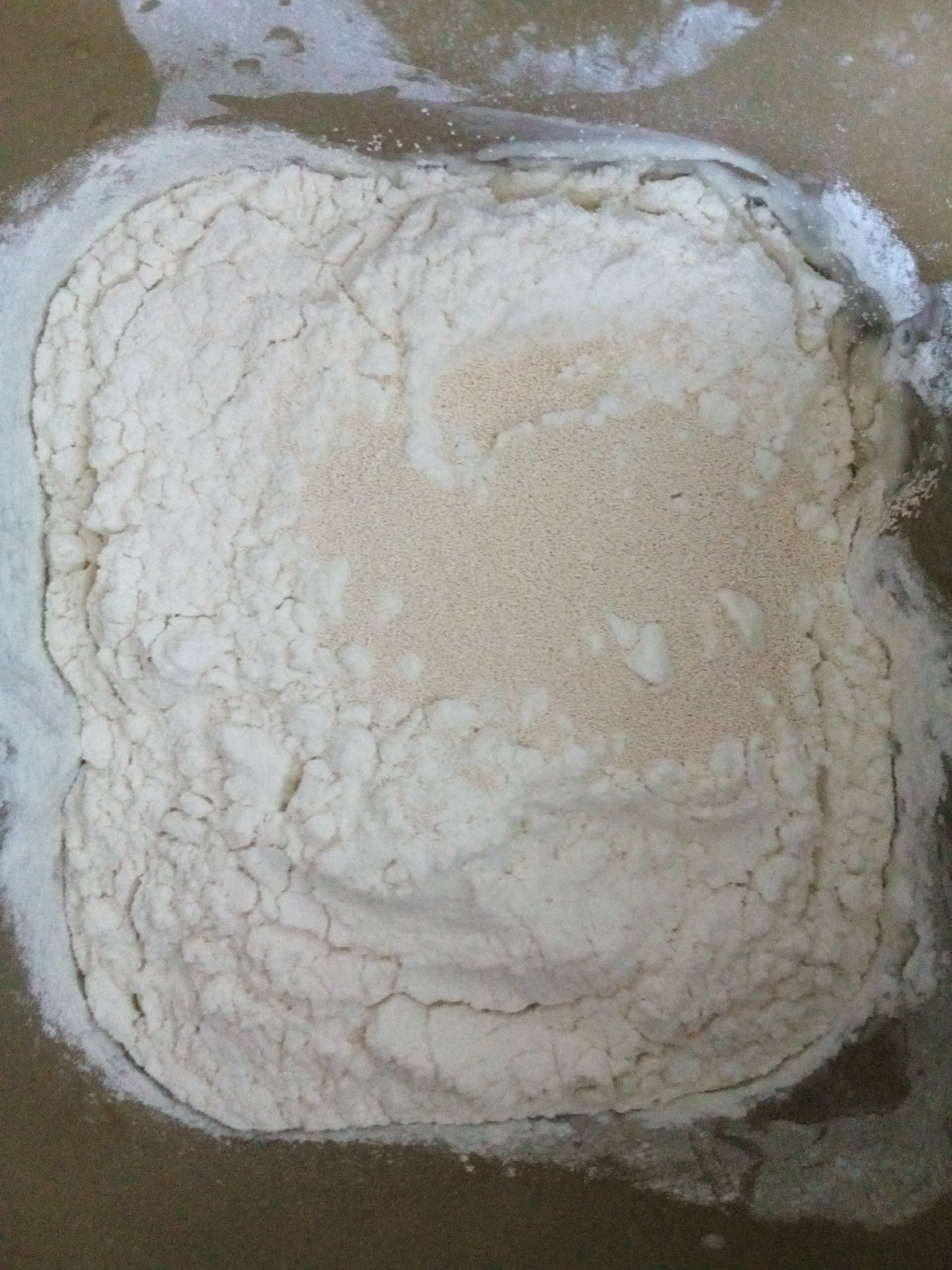 黑芝麻肉鬆海苔鹹麪包（麪包機版）的做法 步骤2