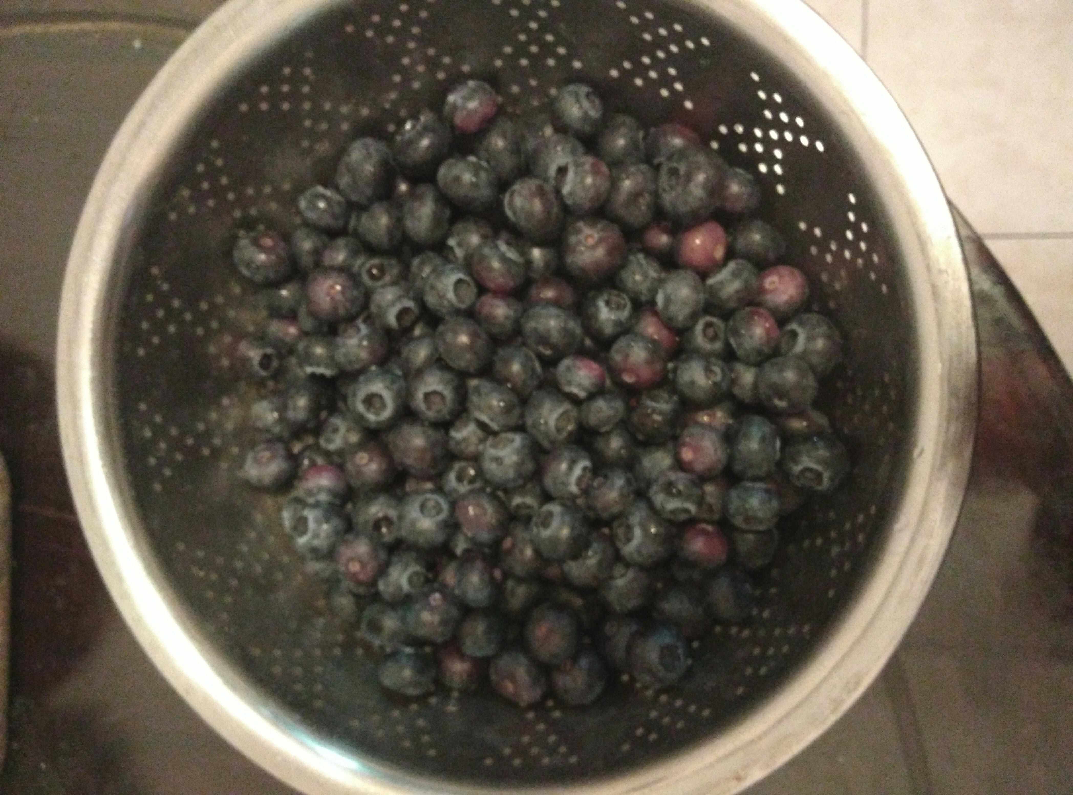 自制藍莓醬的做法 步骤2