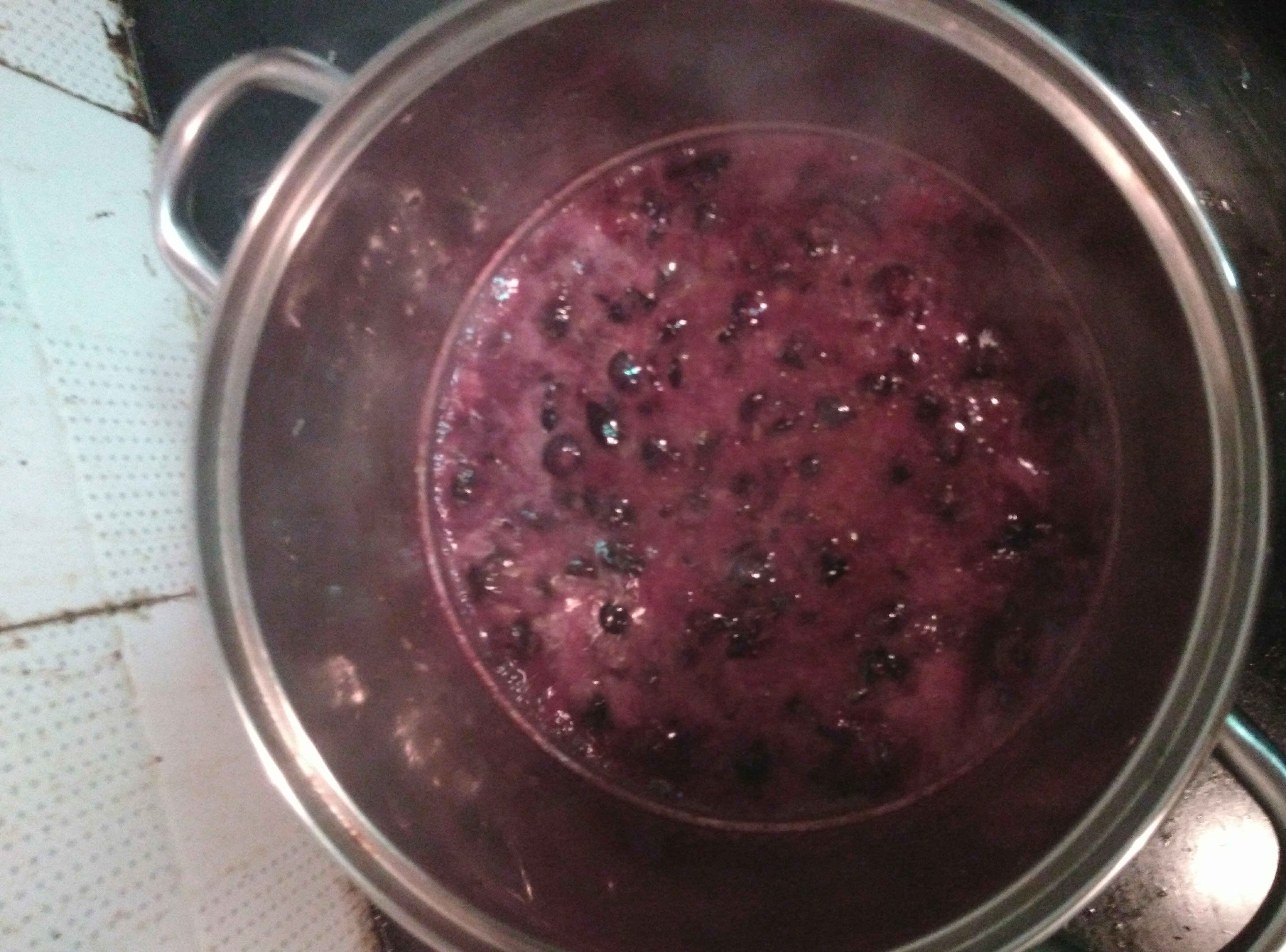 自制藍莓醬的做法 步骤4