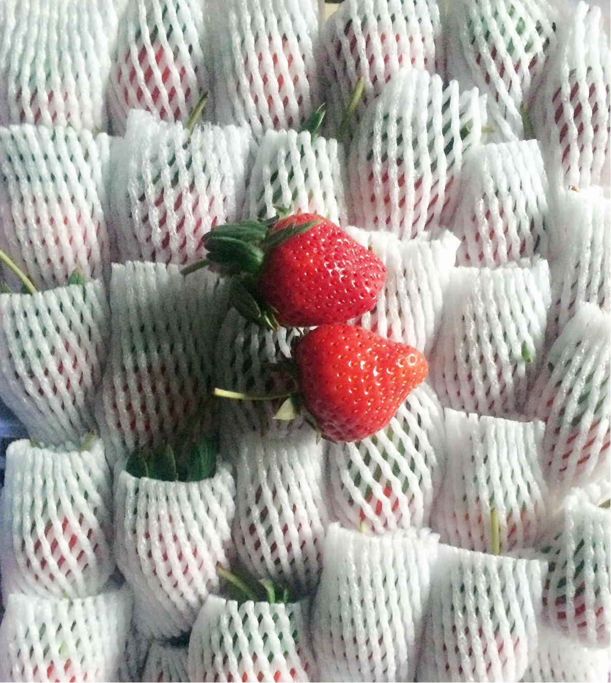 自制香甜草莓醬的做法 步骤1