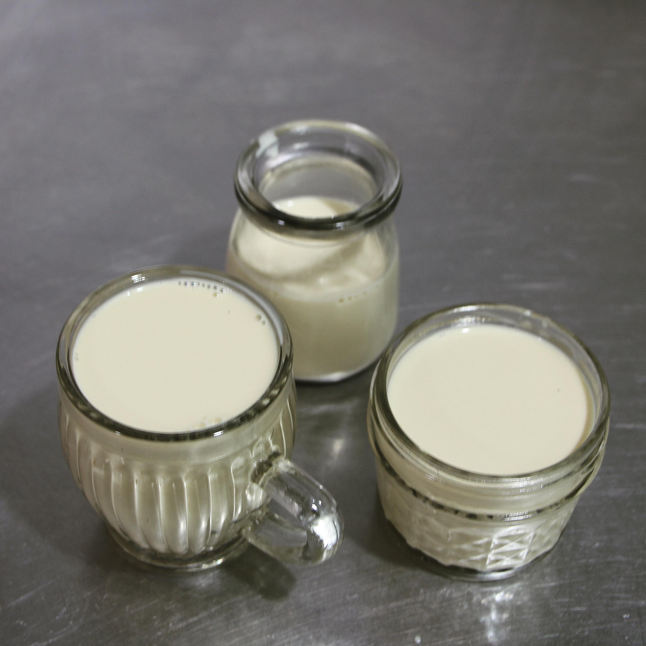 茶香牛乳鮮奶凍的做法 步骤4