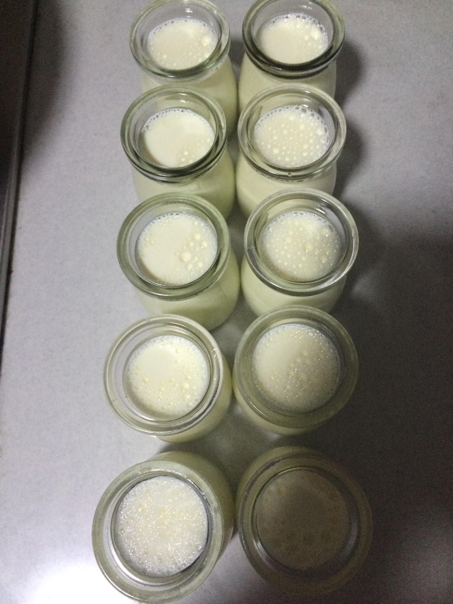 自制酸奶（麪包機版）的做法 步骤2