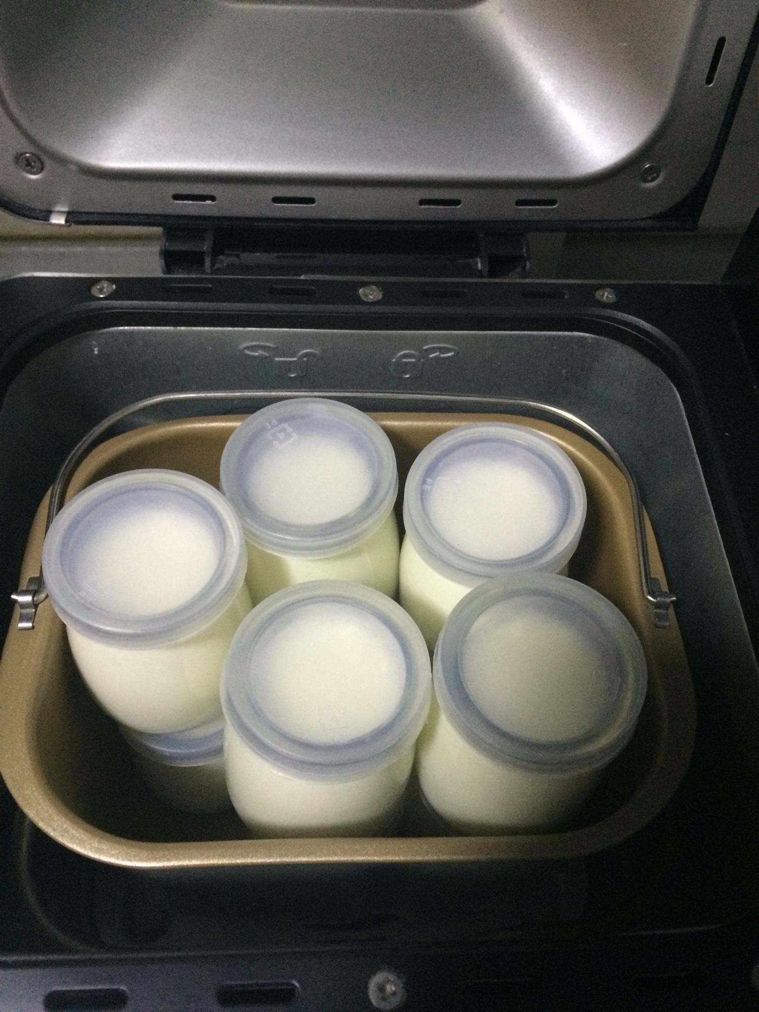 自制酸奶（麪包機版）的做法 步骤3