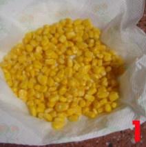 小麥胚芽玉米麪包的做法 步骤1