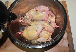 棗杞乳鴿湯的做法 步骤2