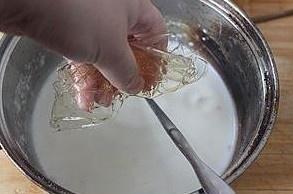 木瓜椰奶凍的做法 步骤2