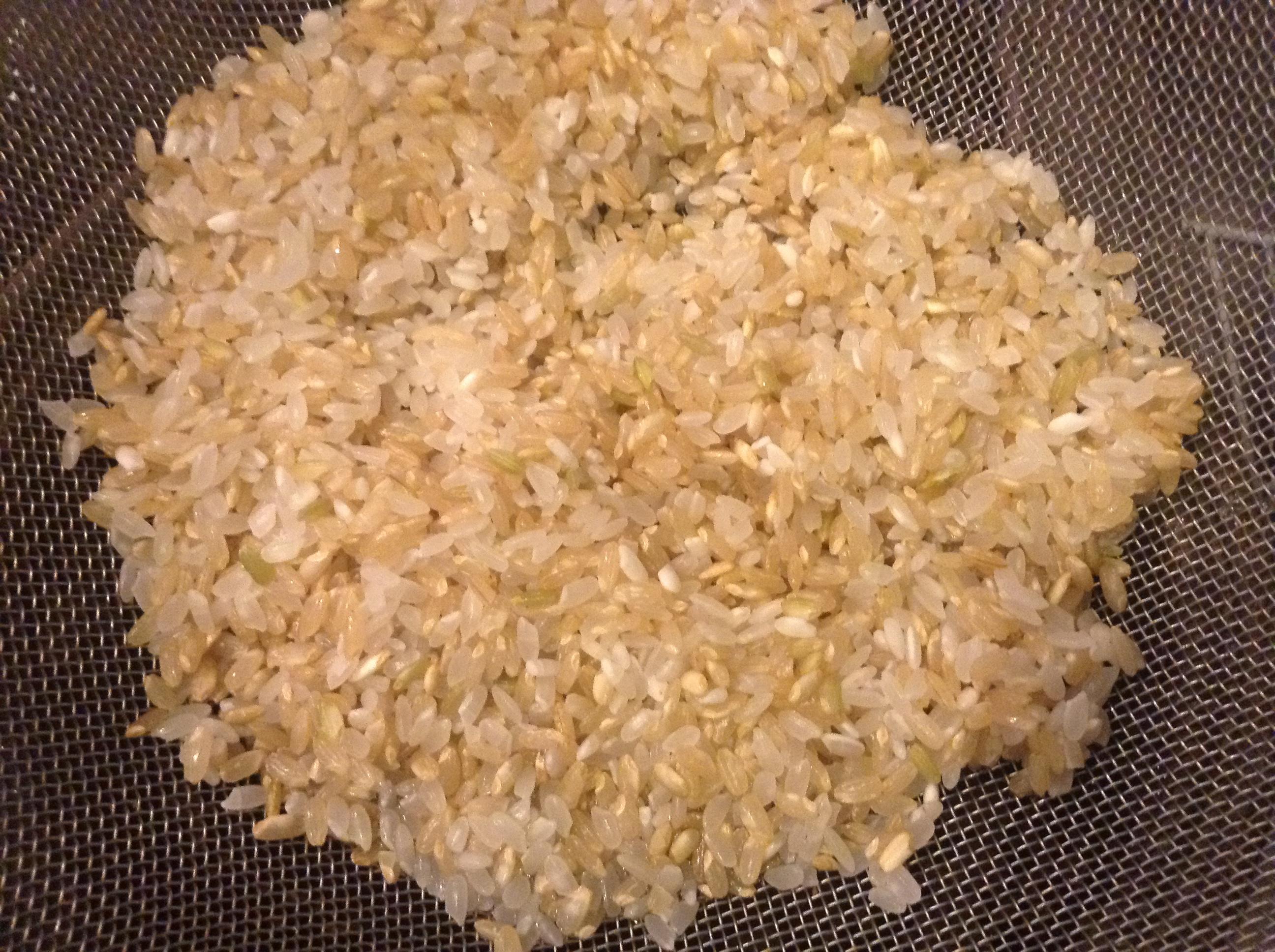 玄米真姬菇飯的做法 步骤1