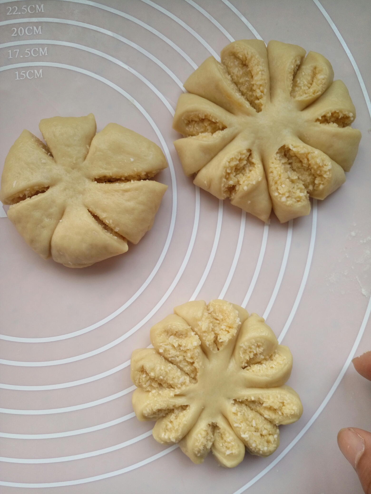椰絲菊花面包的做法 步骤9