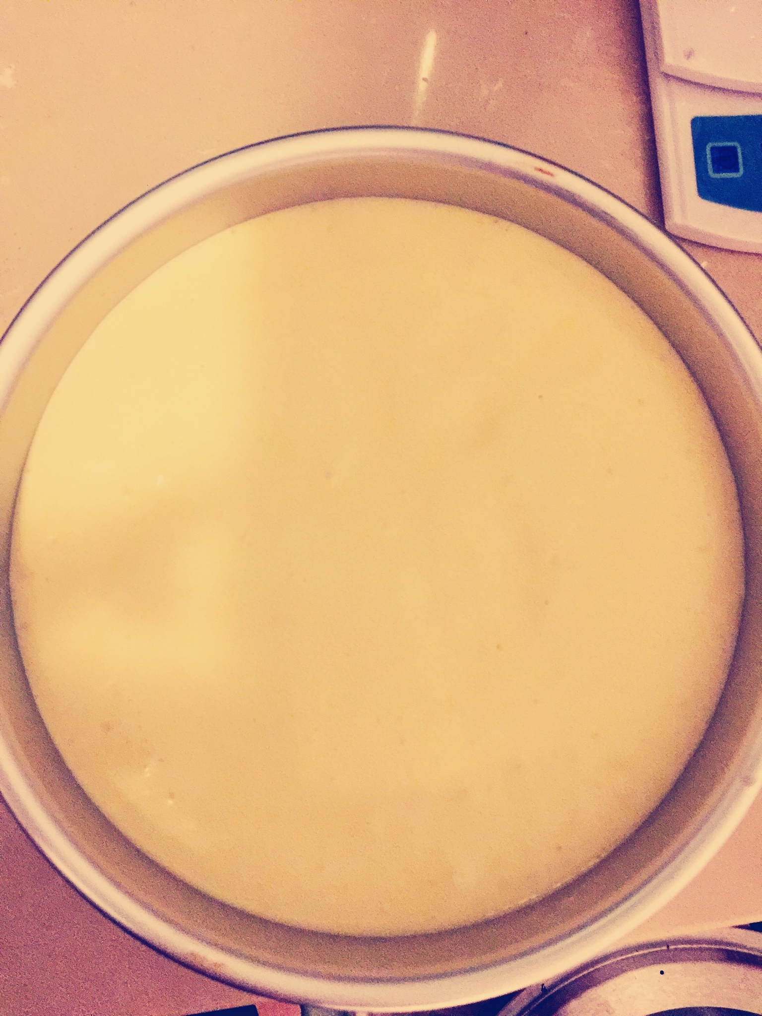 輕乳酪芝士蛋糕(8寸)的做法 步骤12