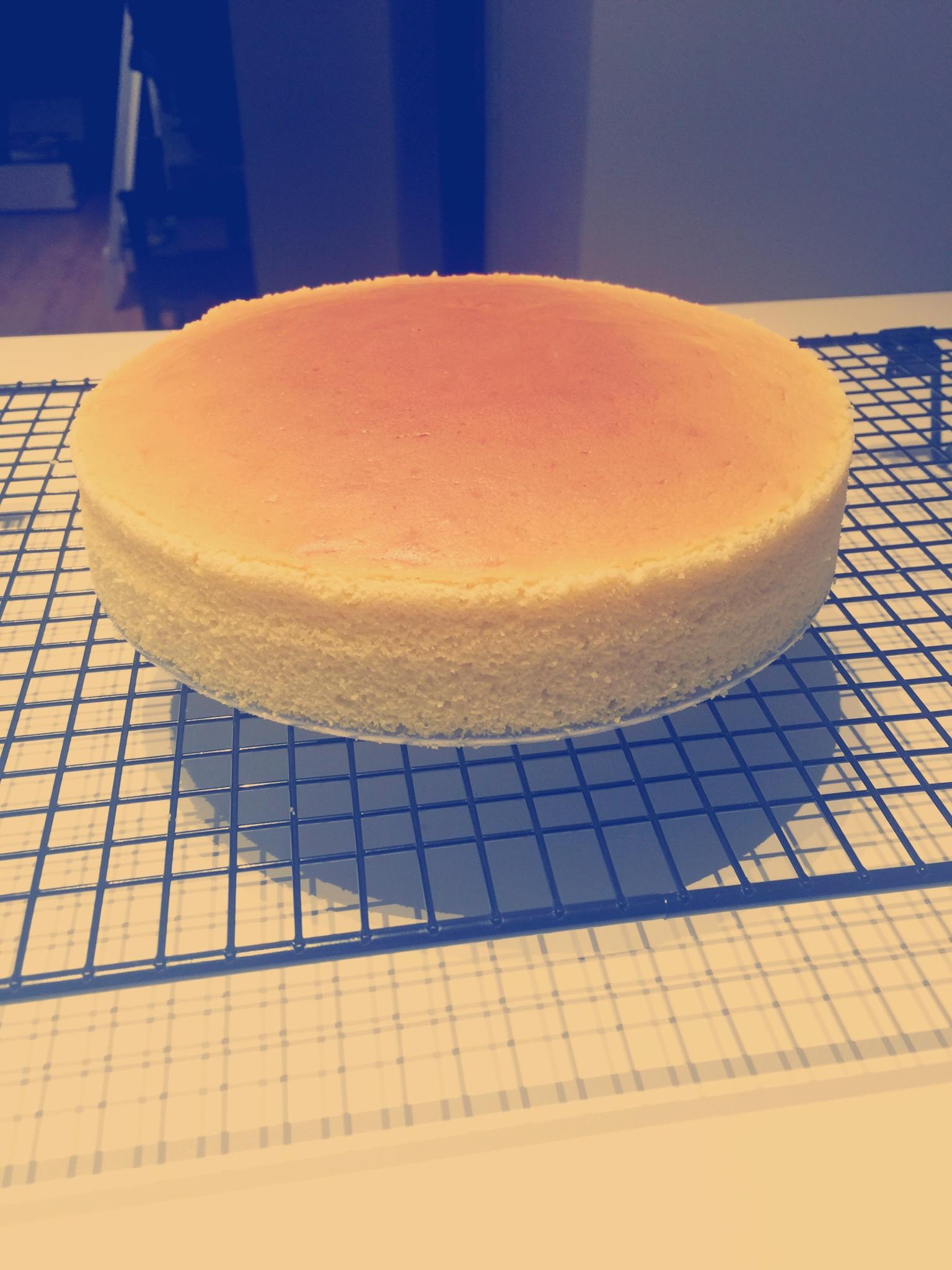 輕乳酪芝士蛋糕(8寸)的做法 步骤14