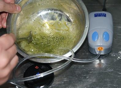 紅燒猴頭菇排配芝士焗雞頭米的做法 步骤13